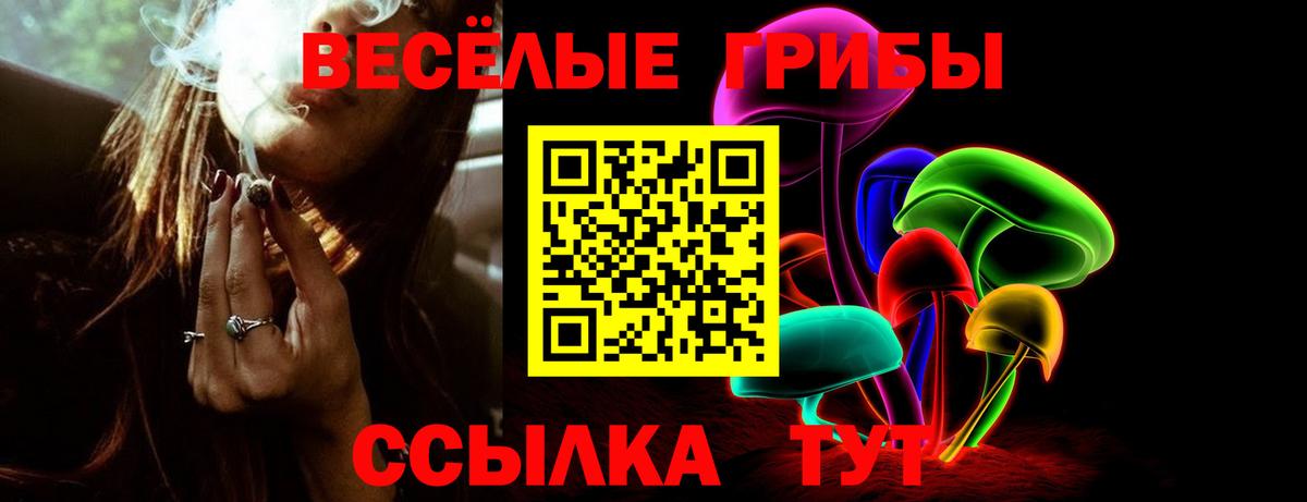 Галлюциногенные грибы Magic Shrooms Бийск