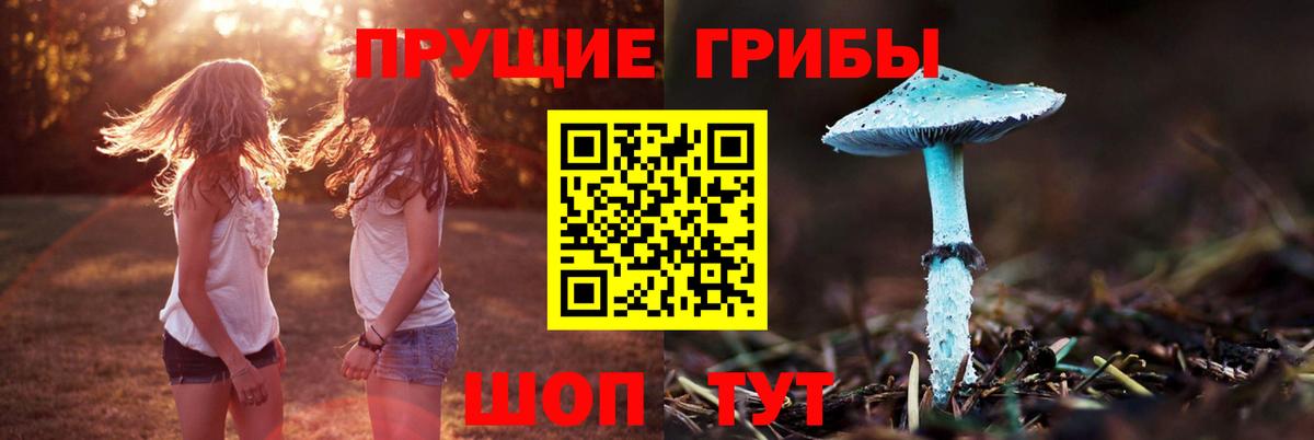 Бийск  Галлюциногенные грибы Magic Shrooms  Вход с VPN 